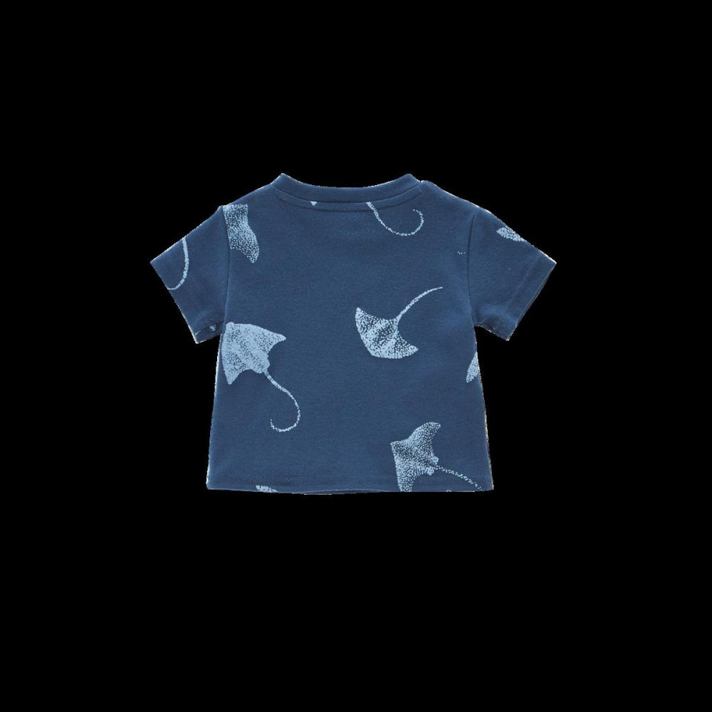 Boxy T-Shirt with All Over Print - Navy - T-shirt