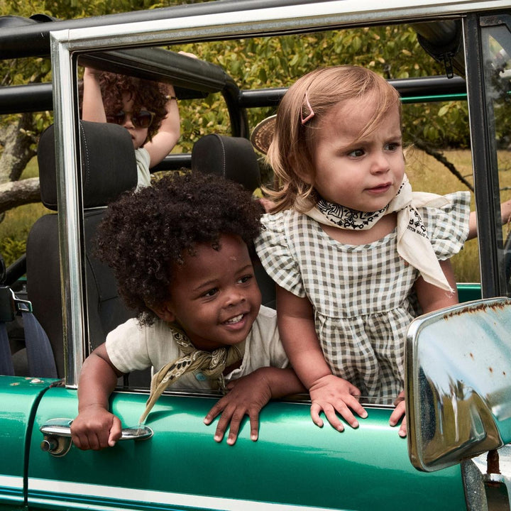 Gingham Linen Baby Dress - Natural/faded Denim