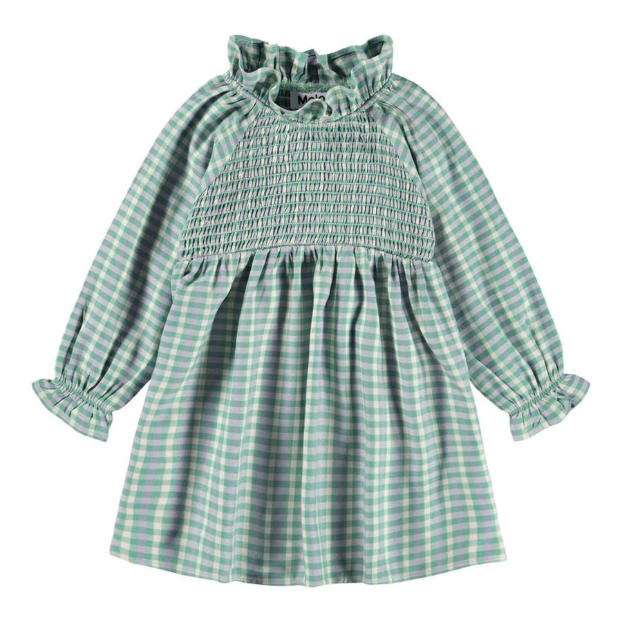 Campa Dress Long Sleeve - Menthe Gingham - 12M (80cm) - Dresses