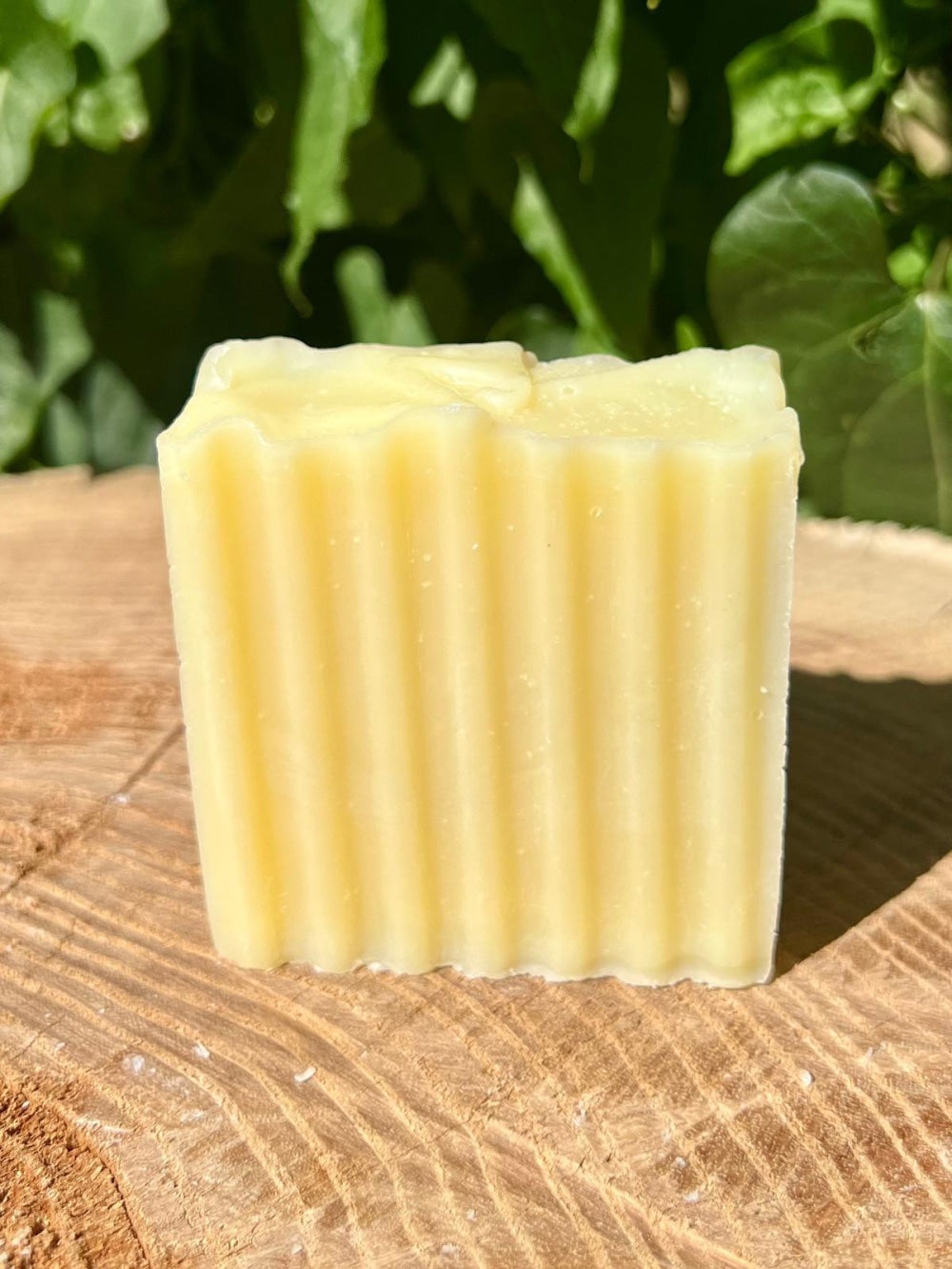 Coconut Olive Tallow Soap - Unscented - 3.5-4.5 oz bar - Soap