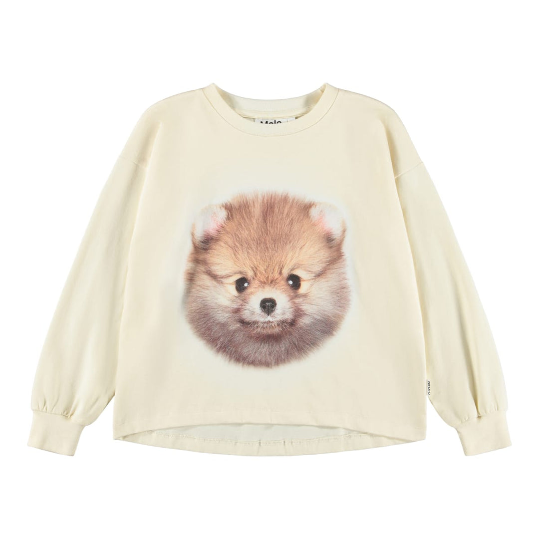 Reniza - Pom POMeranian
