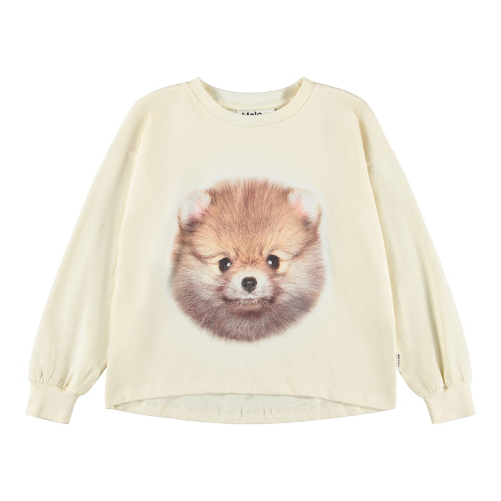 Reniza - Pom POMeranian