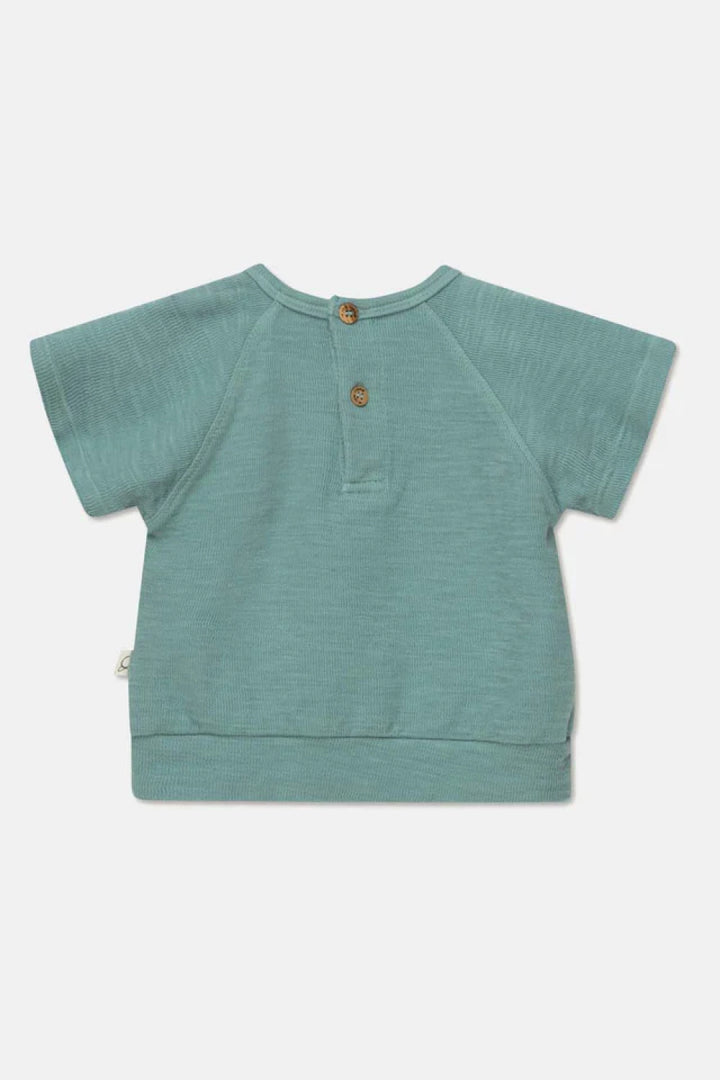 Double-face short-sleeves baby sweatshirt - Green - Sweatshirt