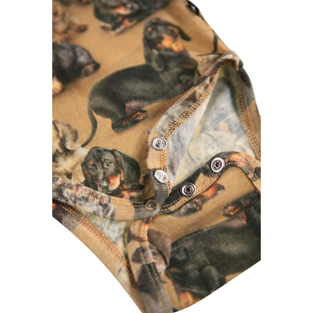 Farai Wool - Dachshunds