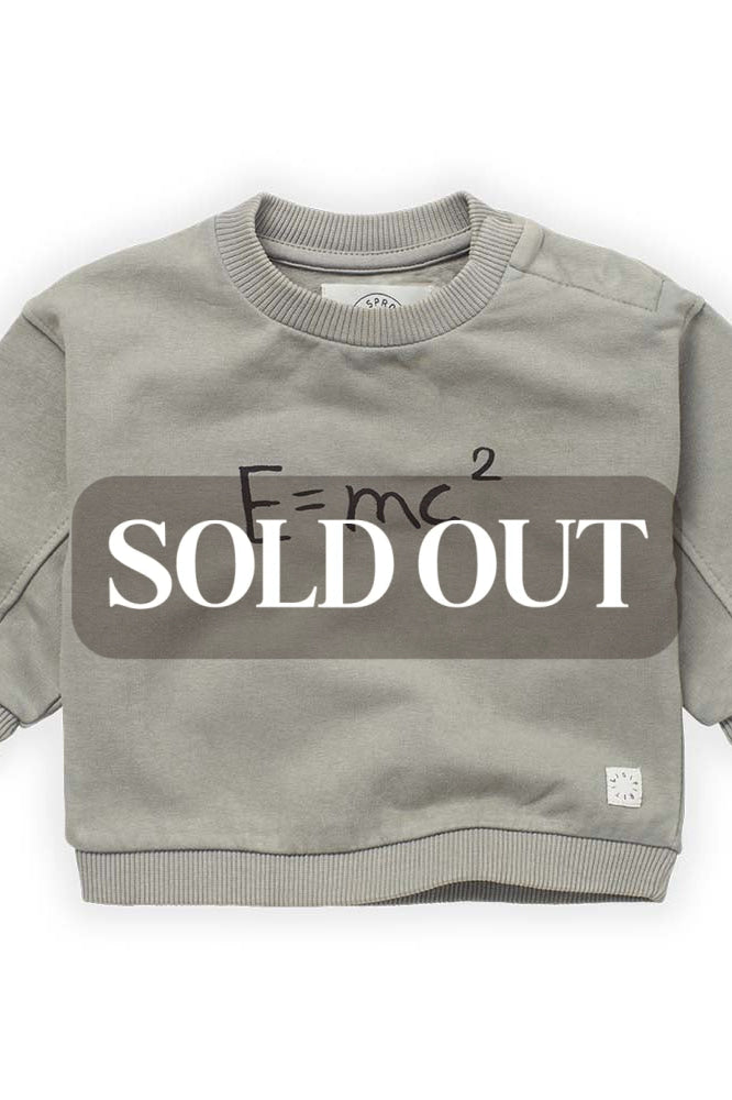 E=MC2 Sweatshirt - Storm Grey - Sweatshirt