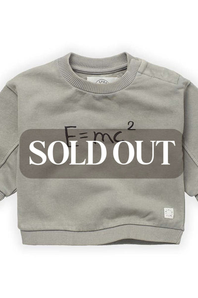 E=MC2 Sweatshirt - Storm Grey - Sweatshirt