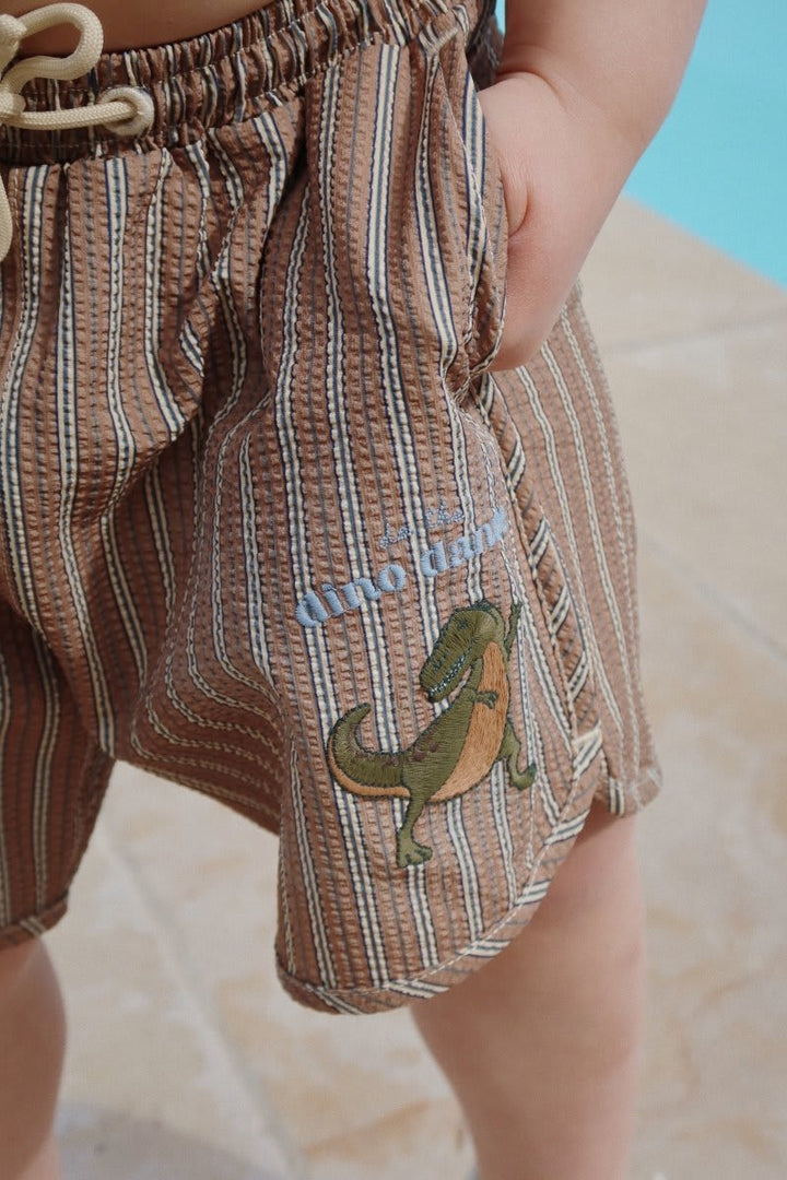 Kids Dino Swim Shorts
