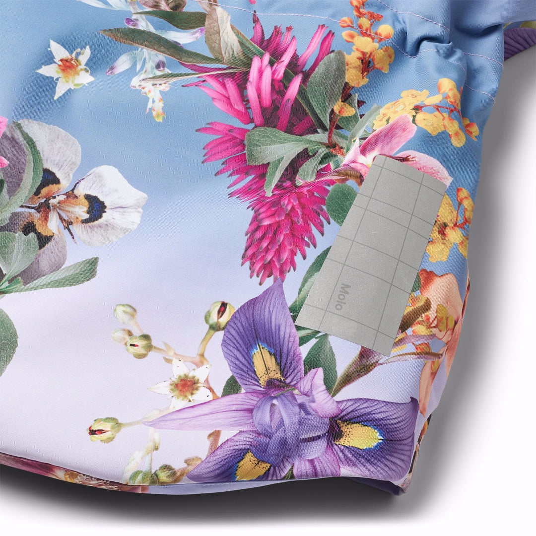 Pearson - Gradient Bloom