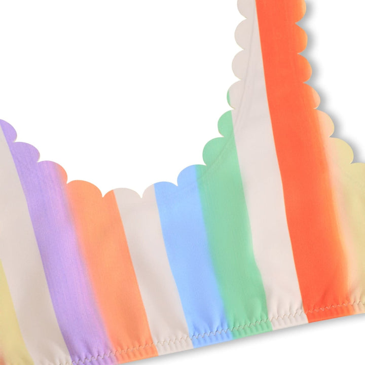 Nolina - Rainbow Paint