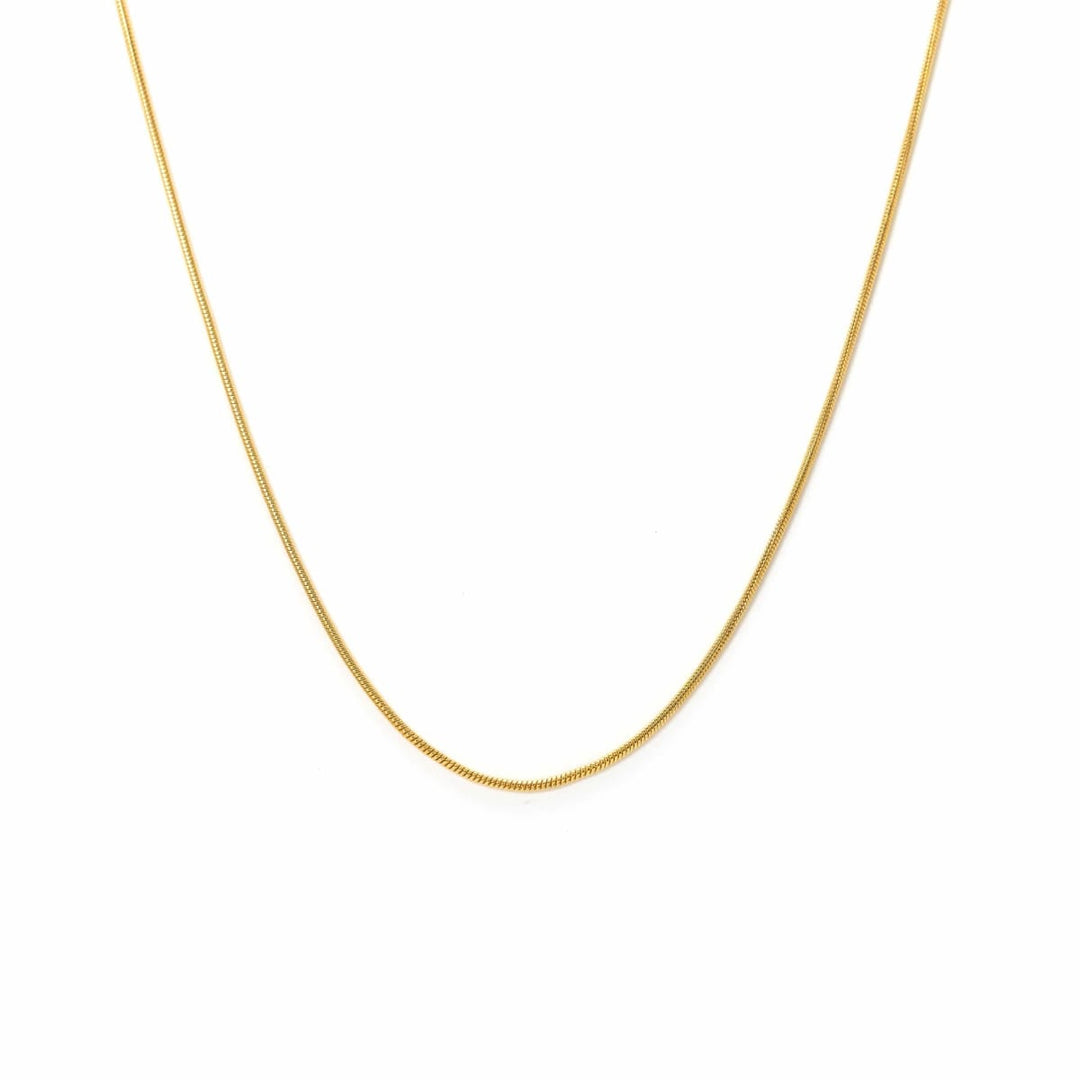 Snake Chain Gold-Filled Necklace