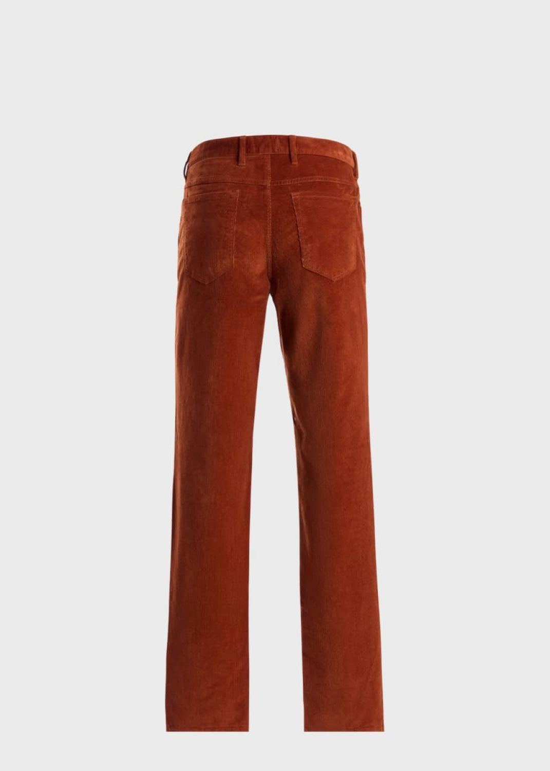 Five Pocket Corduroy Trouser - Tobacco - Pants