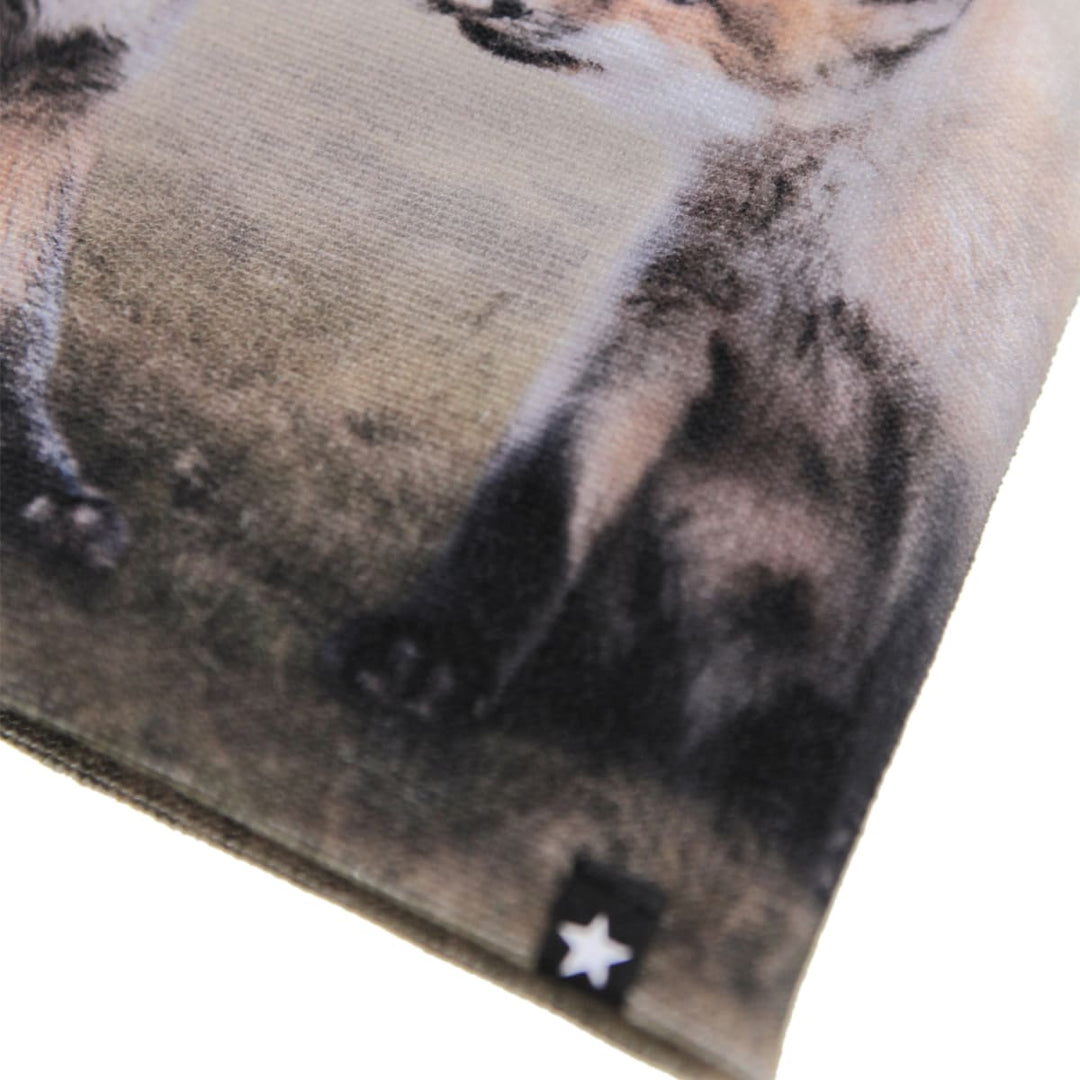 Kaya - Fox Cubs