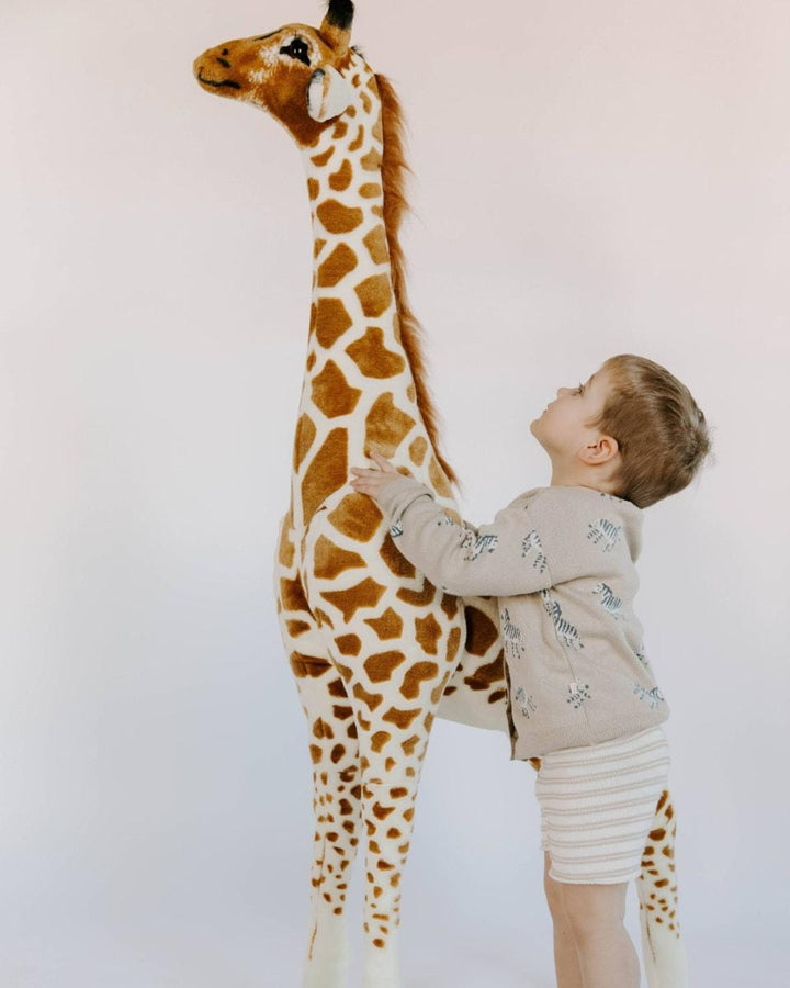 Organic Cotton Knit Jacquard Cardigan in Zebra - Mushroom