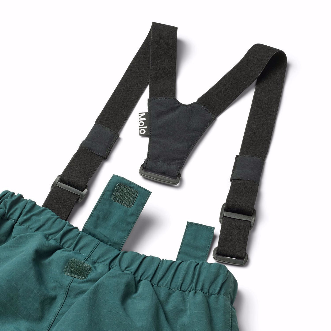 Paxton - Ponderosa Pine