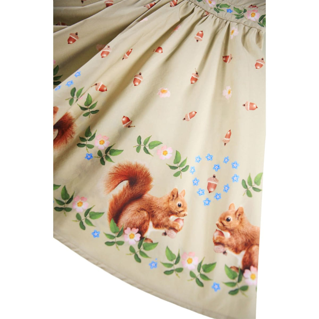 Coralie - Acorn Squirrels