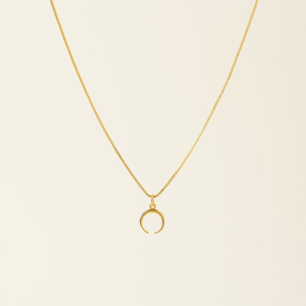 Horn Charm Necklace - One Size - Necklace