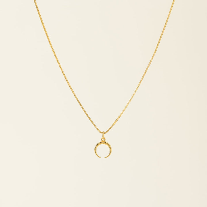Horn Charm Necklace - One Size - Necklace