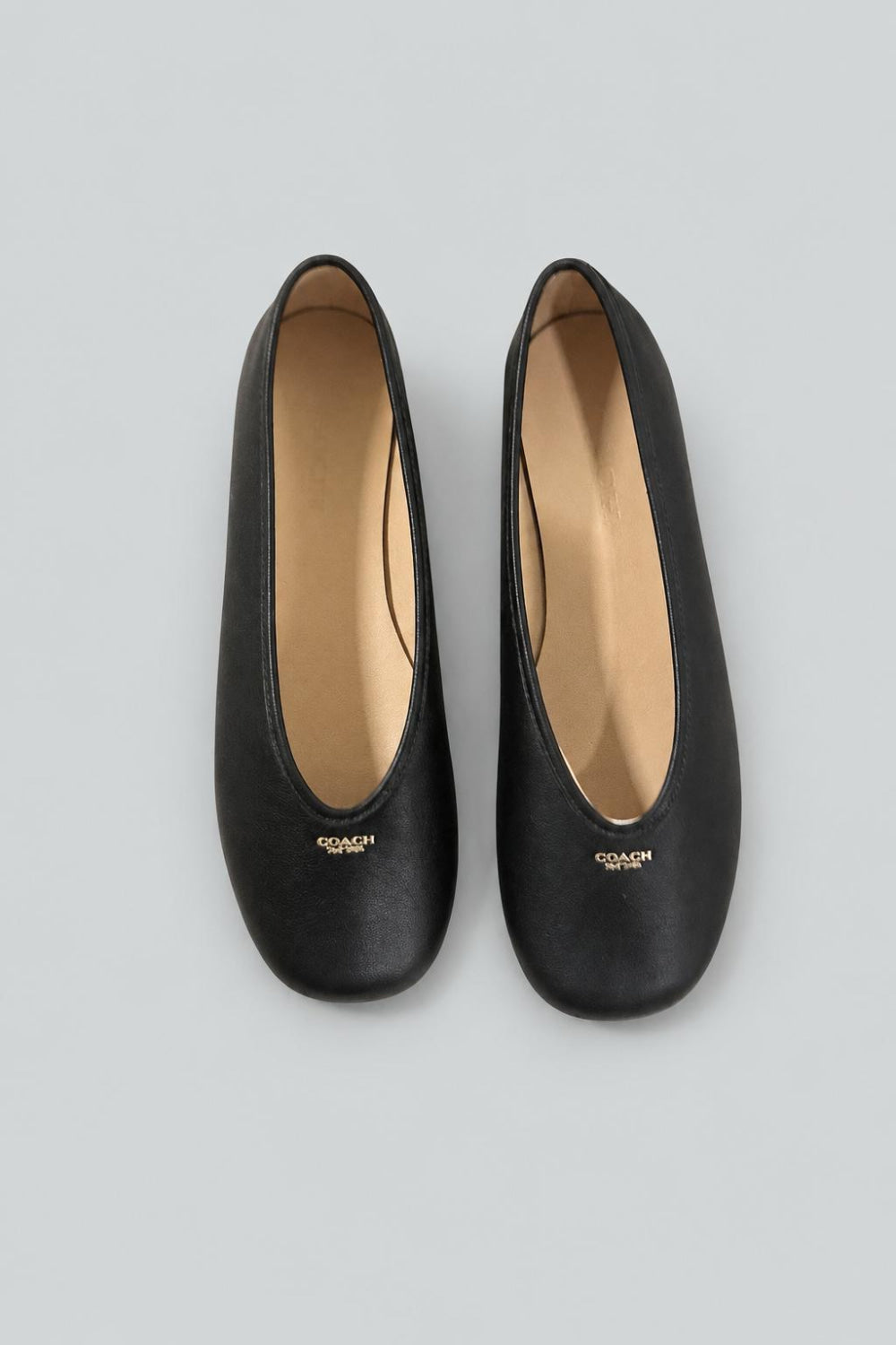 Houston Ballet Flat - Black - 7 - Flats