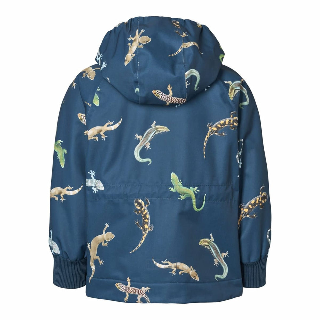Hoplas - Gecko Oceanica