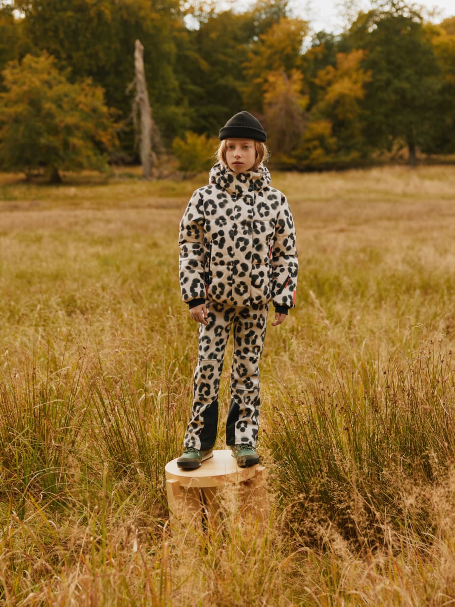 Harlie - Snow Leo