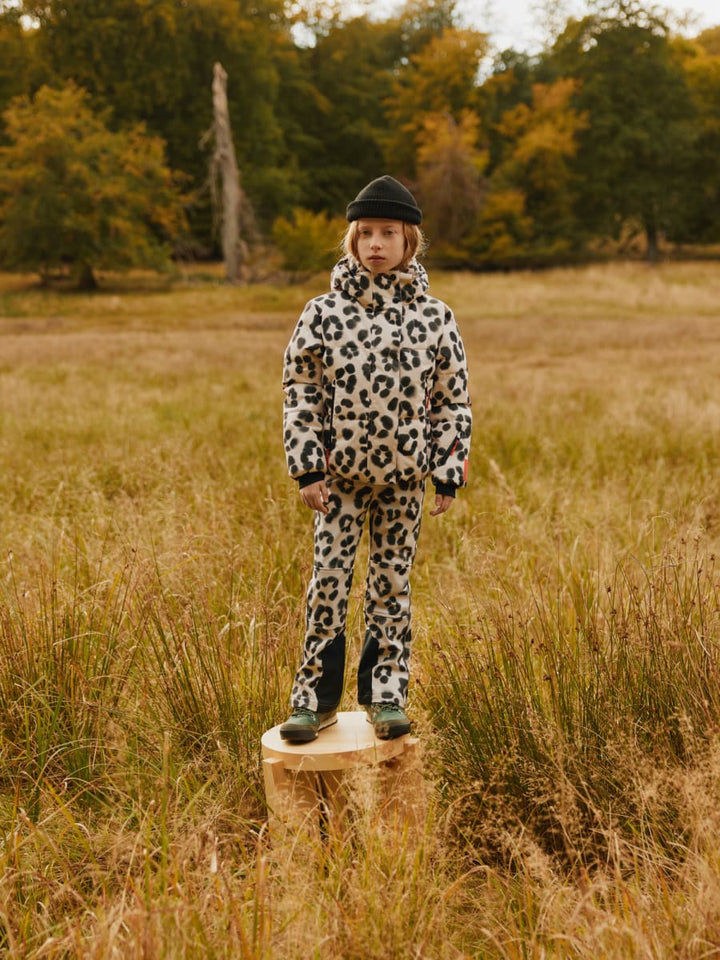Harlie - Snow Leo