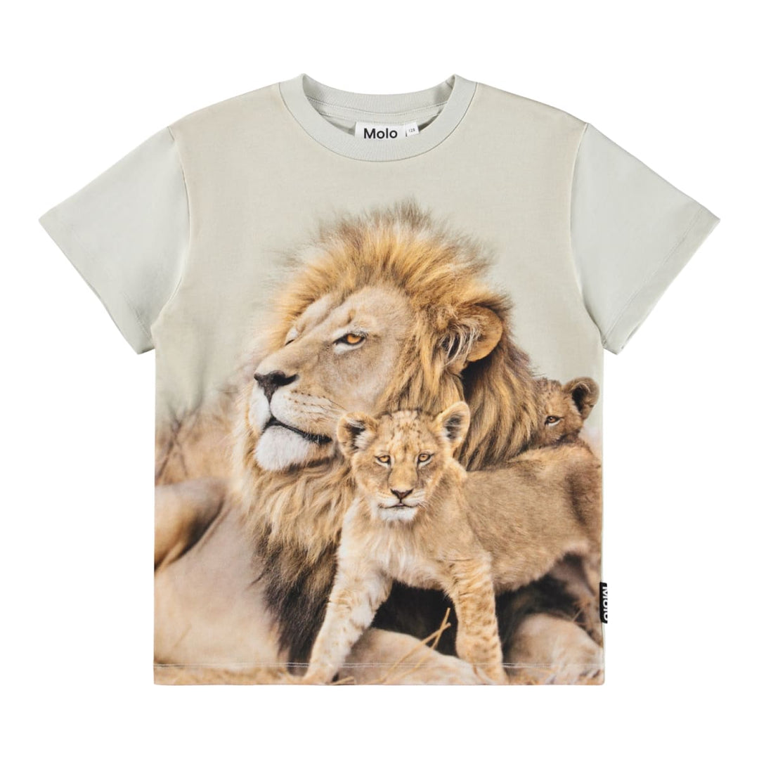 Roxo - Lions