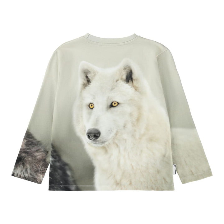 Rollo - Two Wolves