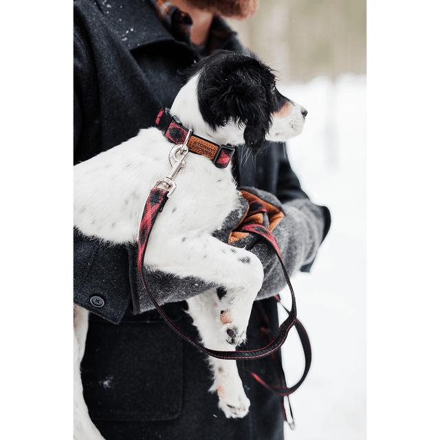 The Pet Collar - Red/black Plaid