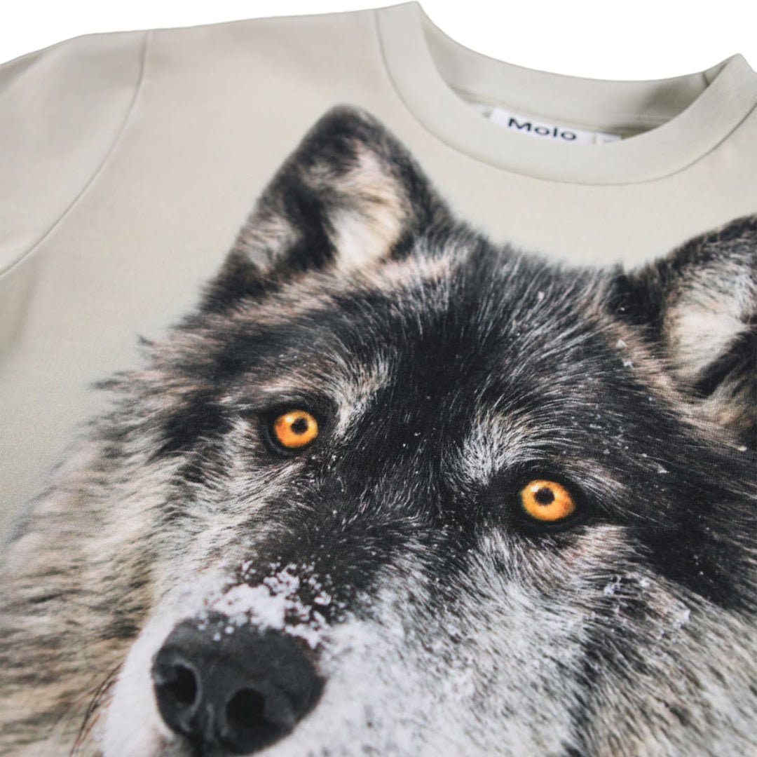 Rollo - Two Wolves