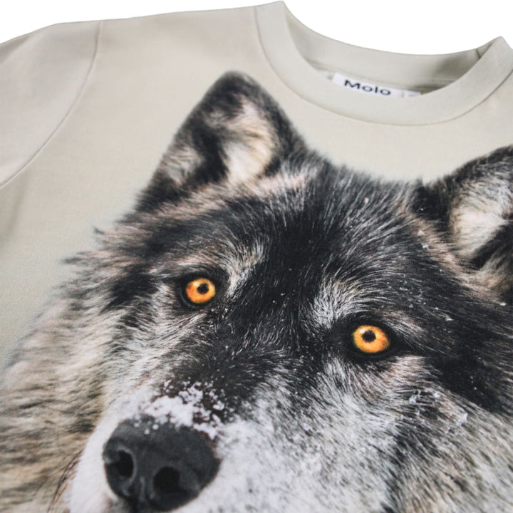 Rollo - Two Wolves