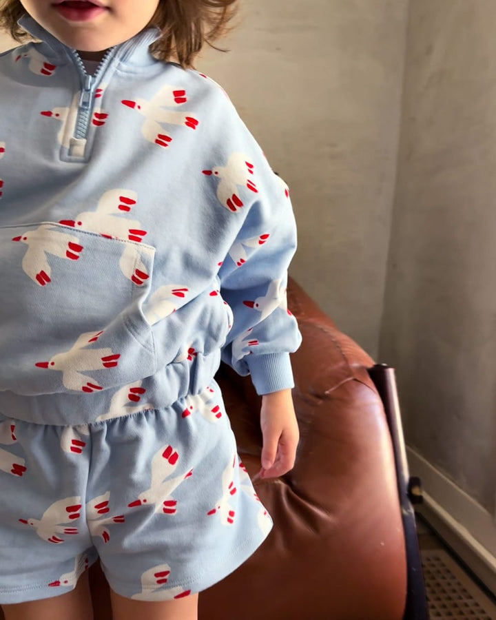 Quarter Zip - Bird Sky