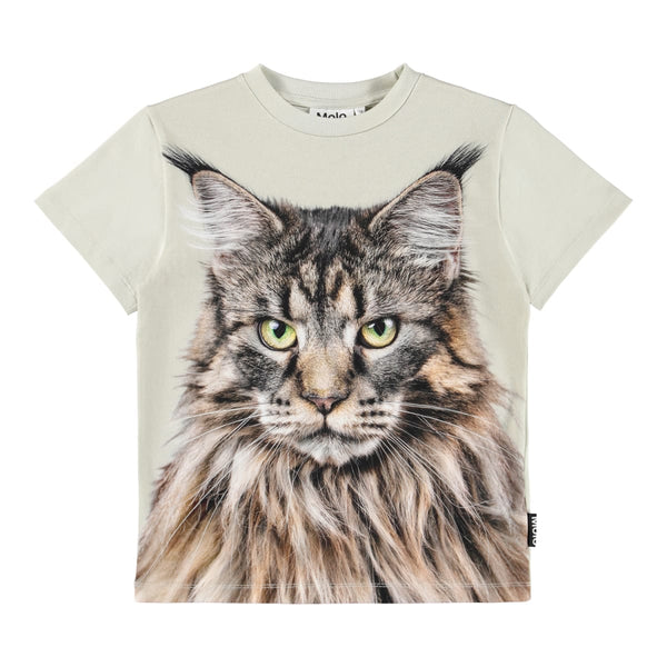 Roxo - Cat