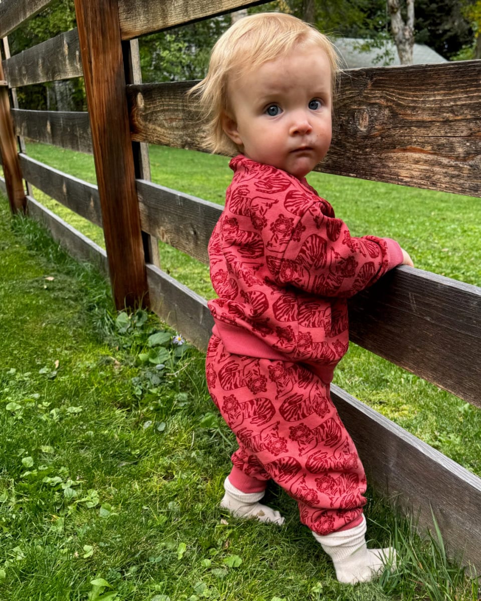 Baby Sweatshirt - Tiger Spice