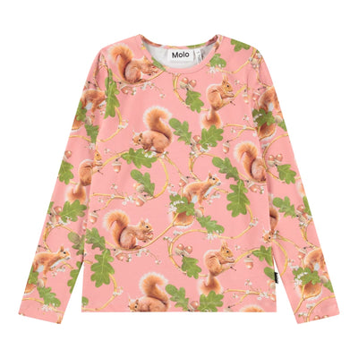 Rose - Squirrel Forest