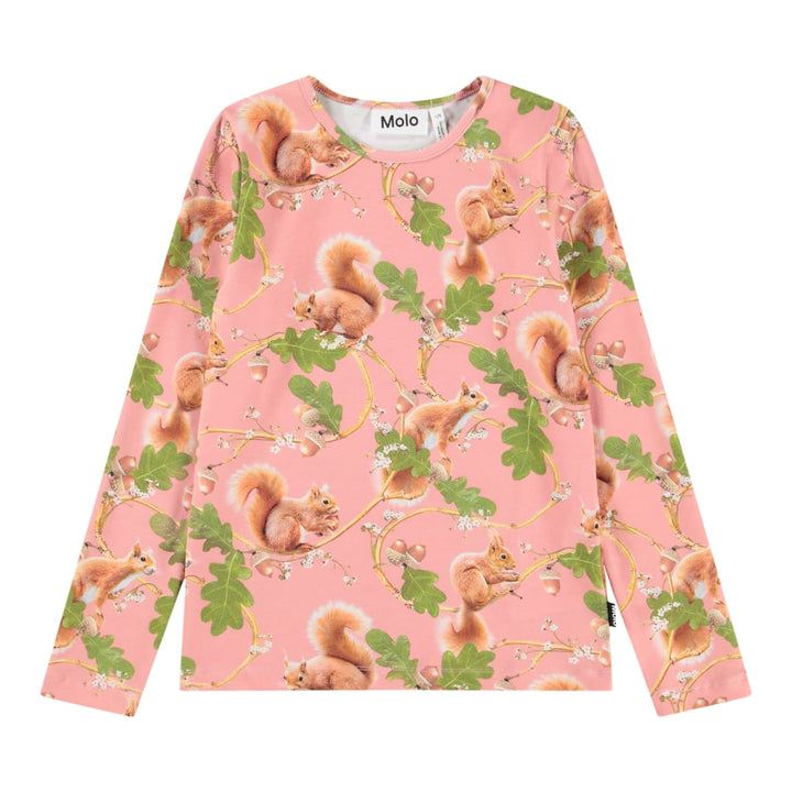 Rose - Squirrel Forest