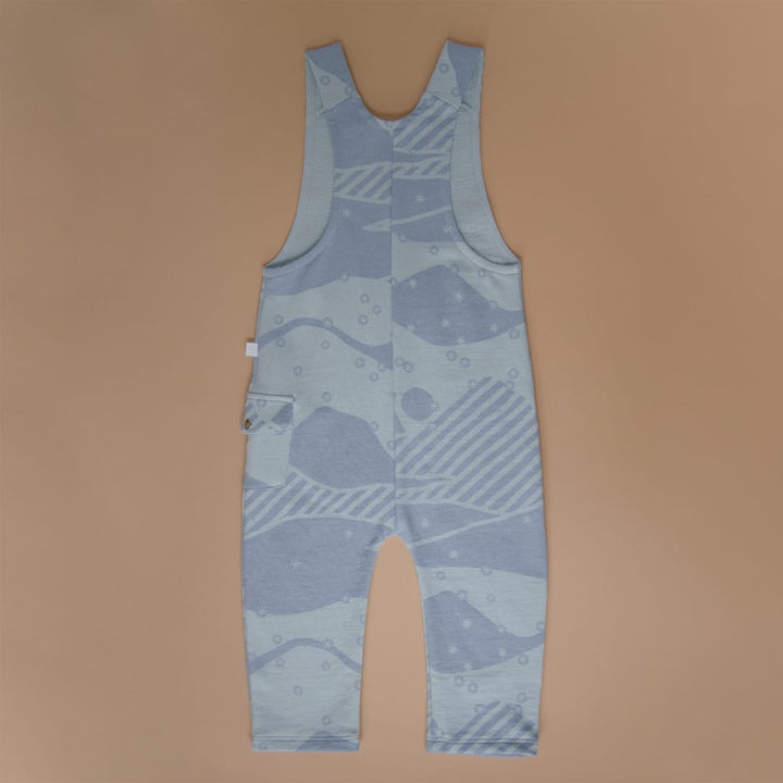 Organic Overall Snowy Andes - Blue