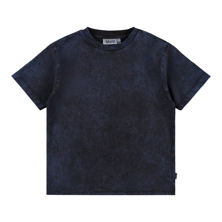 Rodney - Blue Overdye