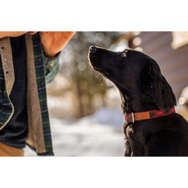 The Pet Collar - Red/black Plaid
