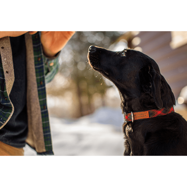 The Pet Collar - Red/black Plaid