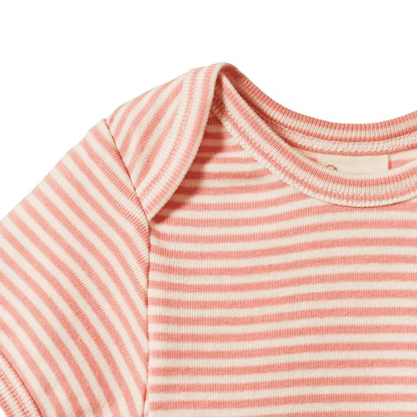 Short Sleeve Bodysuit - Peony Stripe Bodysuits + Onesies Nature Baby 