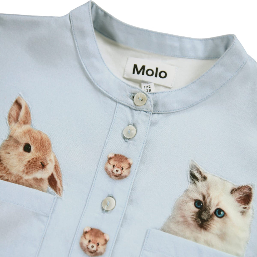 Clara - Pocket Pets