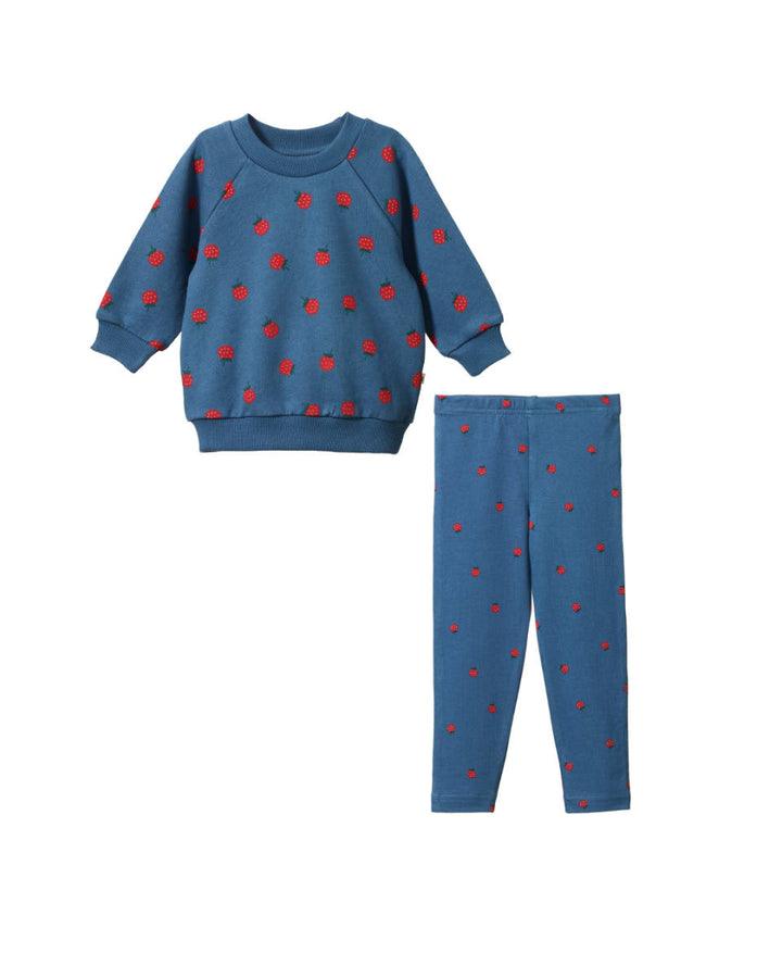 Raspberry Blue Sweater & Leggings Baby Set