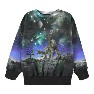 Mattis Sweat Shirt - Dino Drama