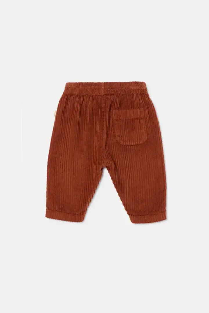 Organic Corduroy Baby Pants - Brown - 6M - Pants