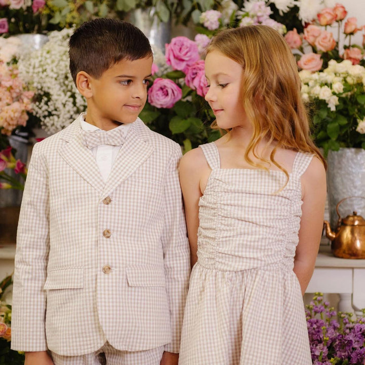 Organic Ruched Bodice Party Dress - Taupe Gingham Seersucker - Dresses