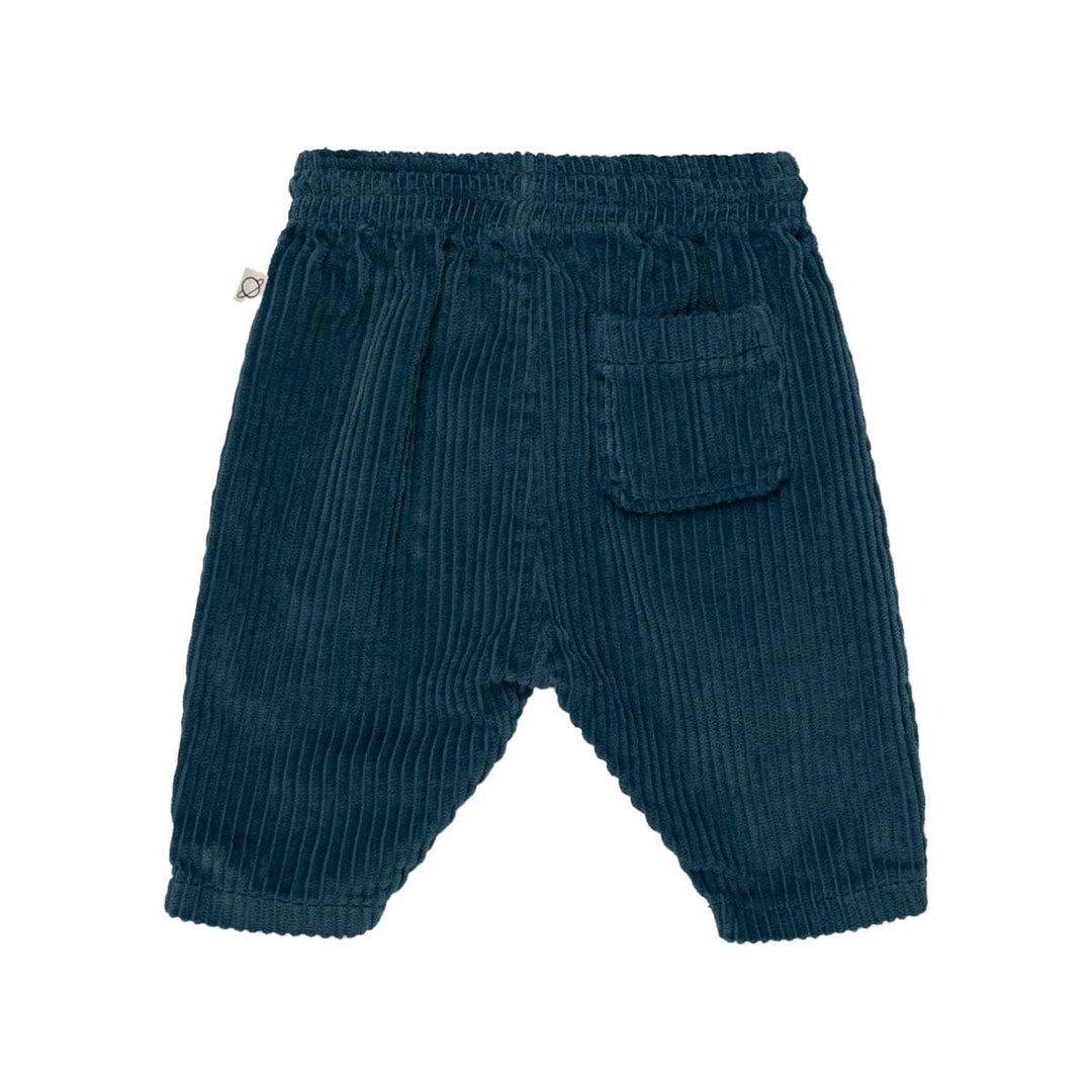 Organic Corduroy Baby Pants - Blue Pants My Little Cozmo 