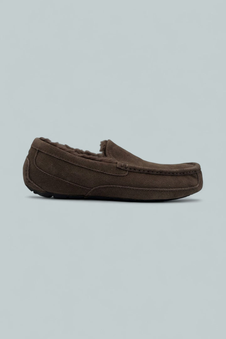 Ascot Casual Slippers - Dusted Cocoa