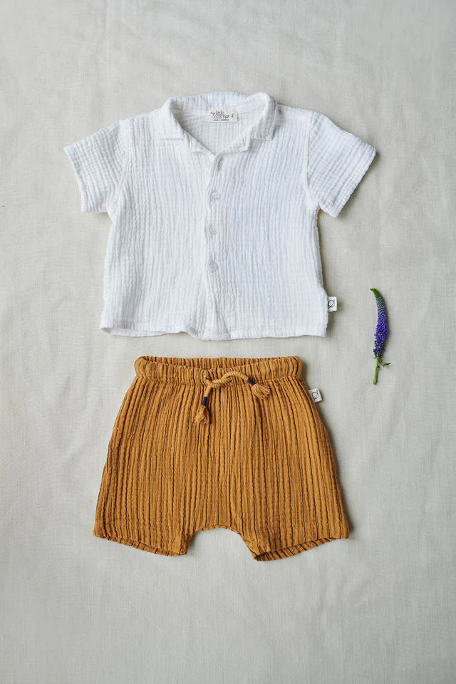 Gauze stripe baby shorts - Oil