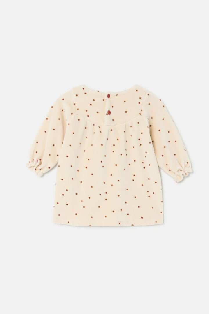 Polka Dot Velour Baby Dress - Stone - 6M - Dresses