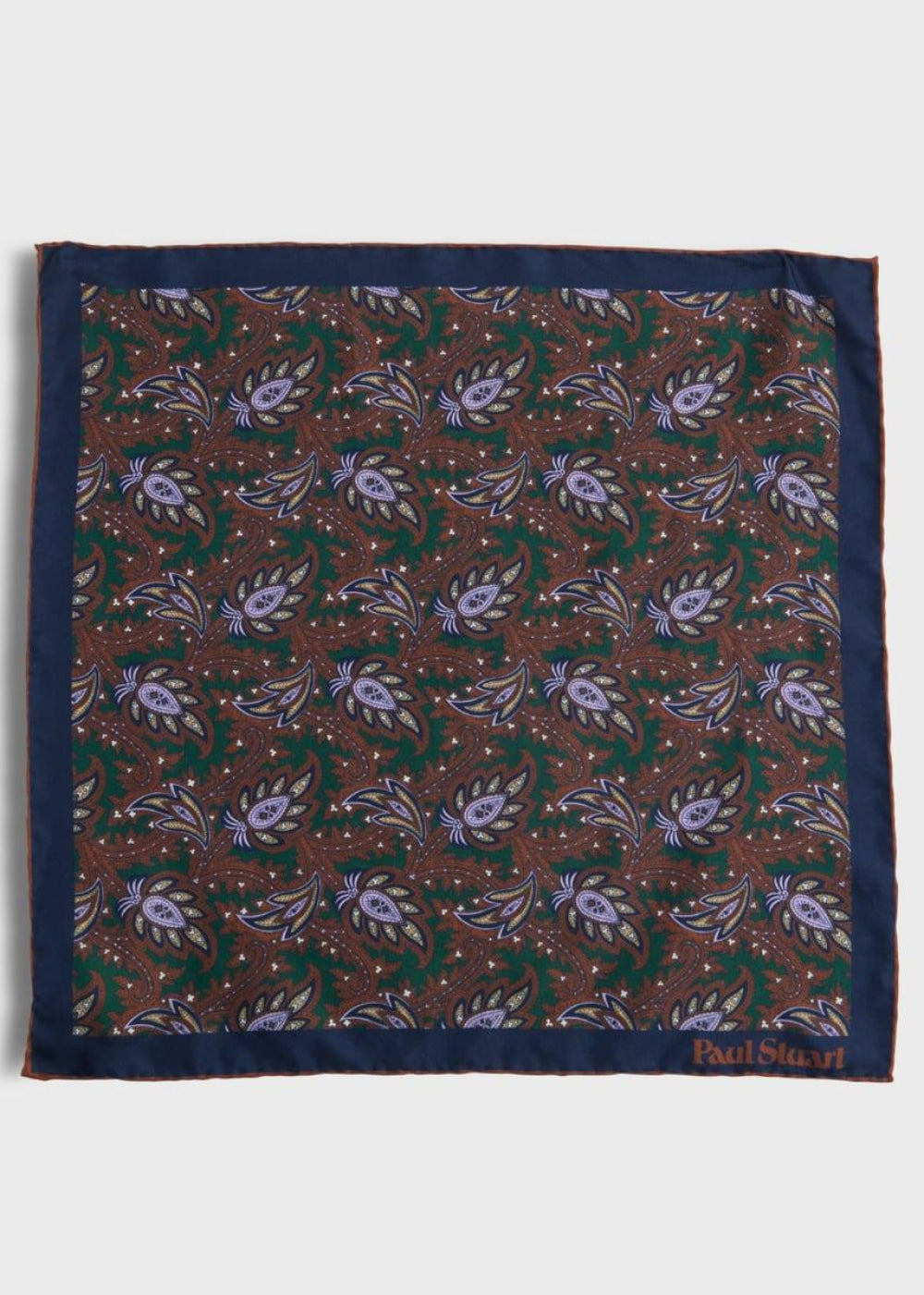 Printed Silk Paisley Pocket Square - Green - ONE SIZE - Pocket Square